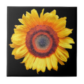 SONNENBLUMEN FLIESE (Vorderseite)