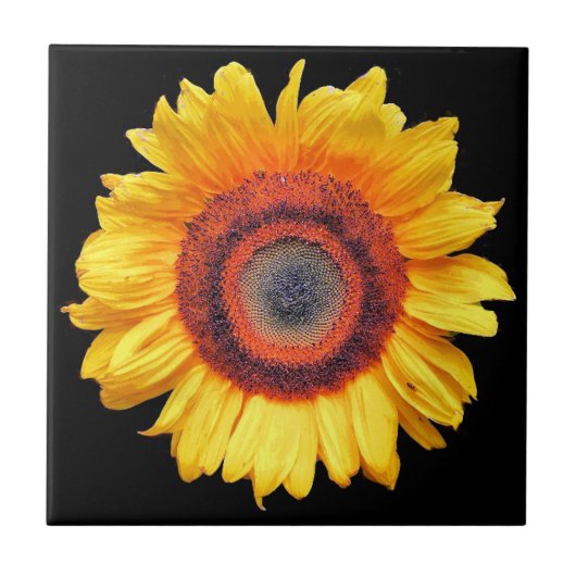 SONNENBLUMEN FLIESE (Vorderseite)