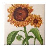 Sonnenblumen Fliese (Vorderseite)