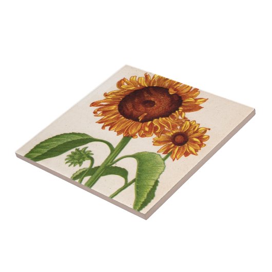 Sonnenblumen Fliese (Seite)