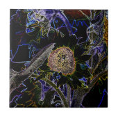 SONNENBLUMEN FLIESE (Vorderseite)