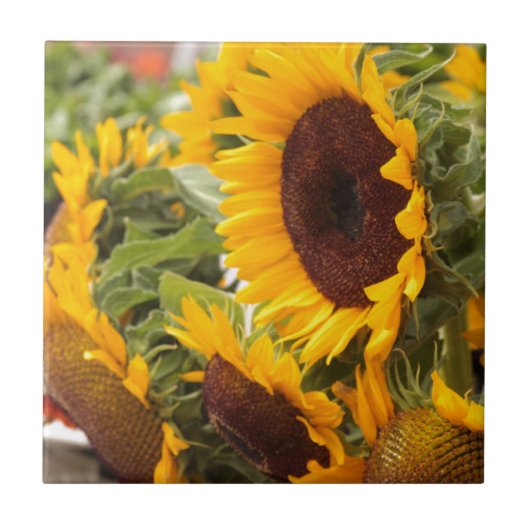 Sonnenblumen! Fliese (Vorderseite)
