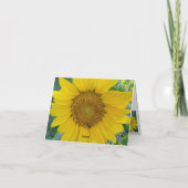 Sonnenblumen-Foto (Rückseite)