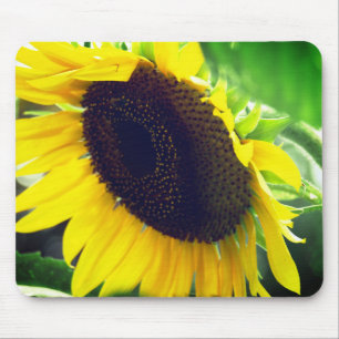Sonnenblumen-Foto auf einem Mauspad gedruckt