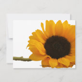 Sonnenblumen Foto Flat Mitteilungskarten (Rückseite)