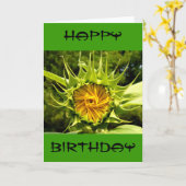 Sonnenblumen Foto Geburtstag Karte (Gelbe Blume)