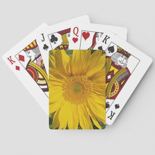 Sonnenblumen Foto Gelb Moderne Blüte Spielkarten (Rückseite)