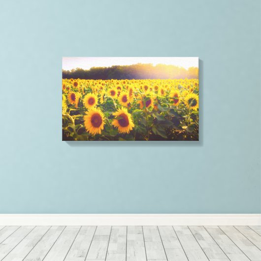 Sonnenblumen Foto Leinwand (Insitu (Holzboden))