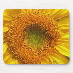 Sonnenblumen Foto Mousepad