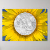 Sonnenblumen-Foto Poster (Vorne)