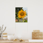 Sonnenblumen-Foto-Poster Poster (Küche)