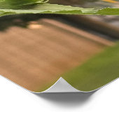 Sonnenblumen-Foto-Poster Poster (Ecke)