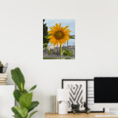 Sonnenblumen-Foto-Poster Poster (Heimbüro)