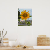 Sonnenblumen-Foto-Poster Poster (Küche)