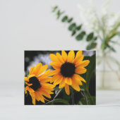Sonnenblumen-Foto Postkarte (Stehend Vorderseite)