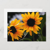 Sonnenblumen-Foto Postkarte (Vorne/Hinten)