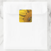 Sonnenblumen Foto Sommerbiene Botanische Quadratischer Aufkleber (Tasche)