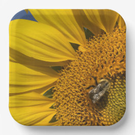 Sonnenblumen Foto Summer Bee Botanischer Garten Pappteller