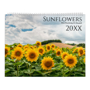 Sonnenblumen-Foto-Wandkalender 2027 Kalender