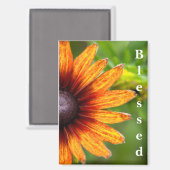 Sonnenblumen-Fotografie Gesegnet  Magnet (Vorderseite/Rückseite)