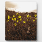 Sonnenblumen Fotoplatte (Vorderseite)