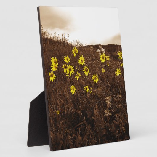 Sonnenblumen Fotoplatte (Seite)