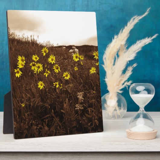 Sonnenblumen Fotoplatte (Seite)