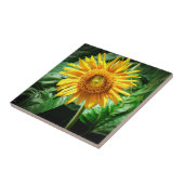 Sonnenblumen Freude Fliese (Seite)