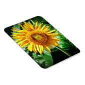 Sonnenblumen Freude Magnet (Rechte Seite)