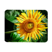 Sonnenblumen Freude Magnet (Horizontal)