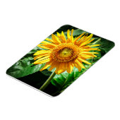 Sonnenblumen Freude Magnet (Linke Seite)