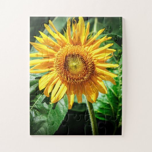 Sonnenblumen Freude Puzzle (Vertikal)