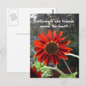 Sonnenblumen & Freunde! Postkarte (Vorne/Hinten)