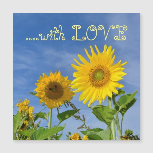 Sonnenblumen für Dich ... Magnetkarte (Vorderseite)
