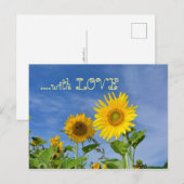 Sonnenblumen für Dich ... Postkarte (Vorne/Hinten)