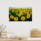 Sonnenblumen für immer poster (Küche)