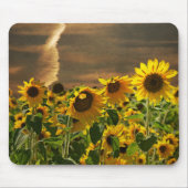 Sonnenblumen Galore Mousepad (Vorne)
