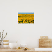 Sonnenblumen Galore Poster (Küche)