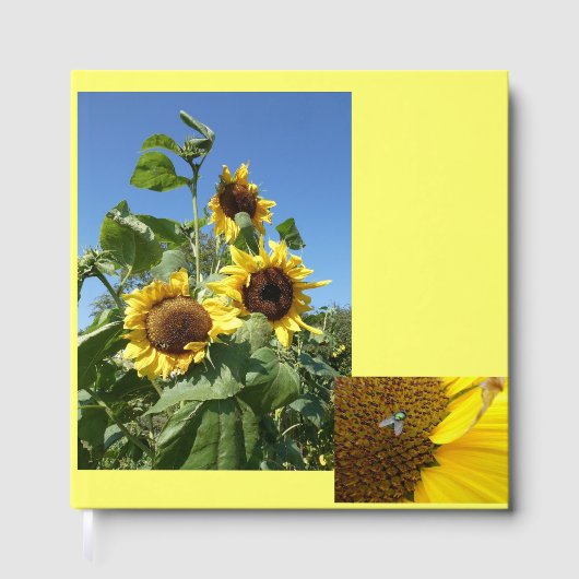 Sonnenblumen Gästebuch (Vorderseite)