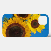 Sonnenblumen gegen blauen Zaun Case-Mate iPhone Hülle (Rückseite (Horizontal))