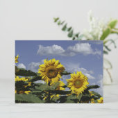 Sonnenblumen gegen einen blauen Himmel - flache Gr Karte (Stehend Vorderseite)