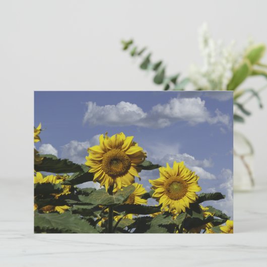Sonnenblumen gegen einen blauen Himmel - flache Gr Karte (Stehend Vorderseite)