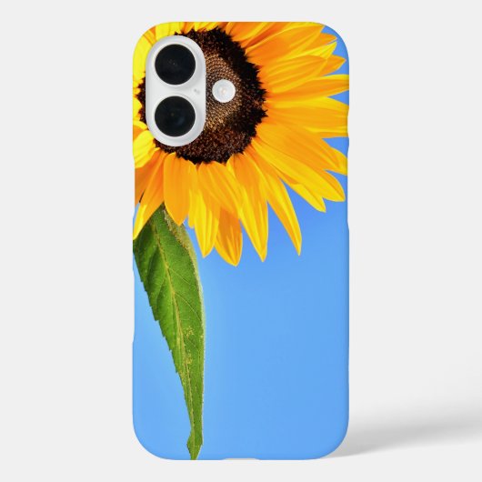 Sonnenblumen gegen Sun iPhone Case Blue Sky (Rückseite)