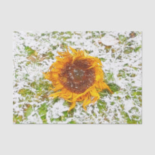 Sonnenblumen-Gelb im Winter-Schnee-Dekoupage Seidenpapier