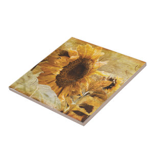 Sonnenblumen Gelb Schön Land Blumen Design Fliese