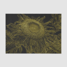 Sonnenblumen Gelb Schwarze Blüte Art Decoupage