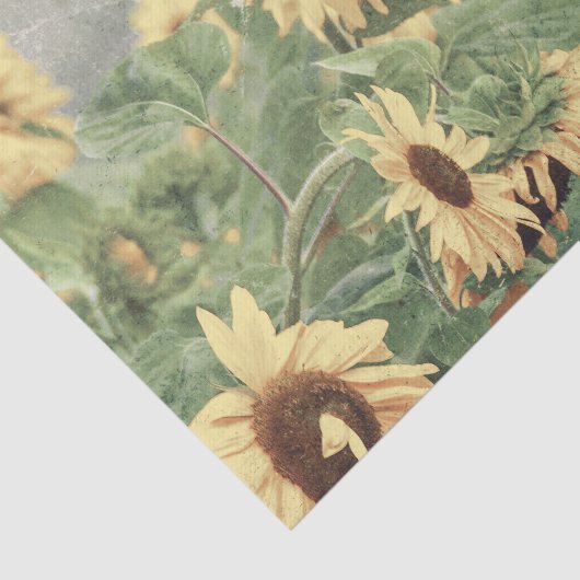 Sonnenblumen Gelbes Dekor Seidenpapier (Ausschnitt)