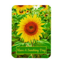 Sonnenblumen Gelbgrün-blaue Blüte