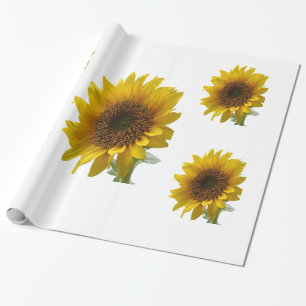 Sonnenblumen Geschenkpapier