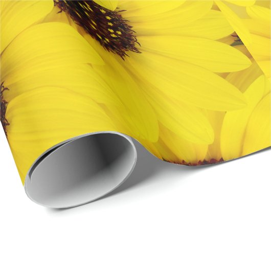 Sonnenblumen Geschenkpapier (Rolleneckpunkt)